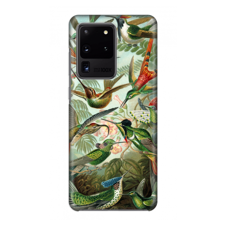 Haeckel Trochilidae: Volledig geprint Samsung Galaxy S20 Ultra Hoesje