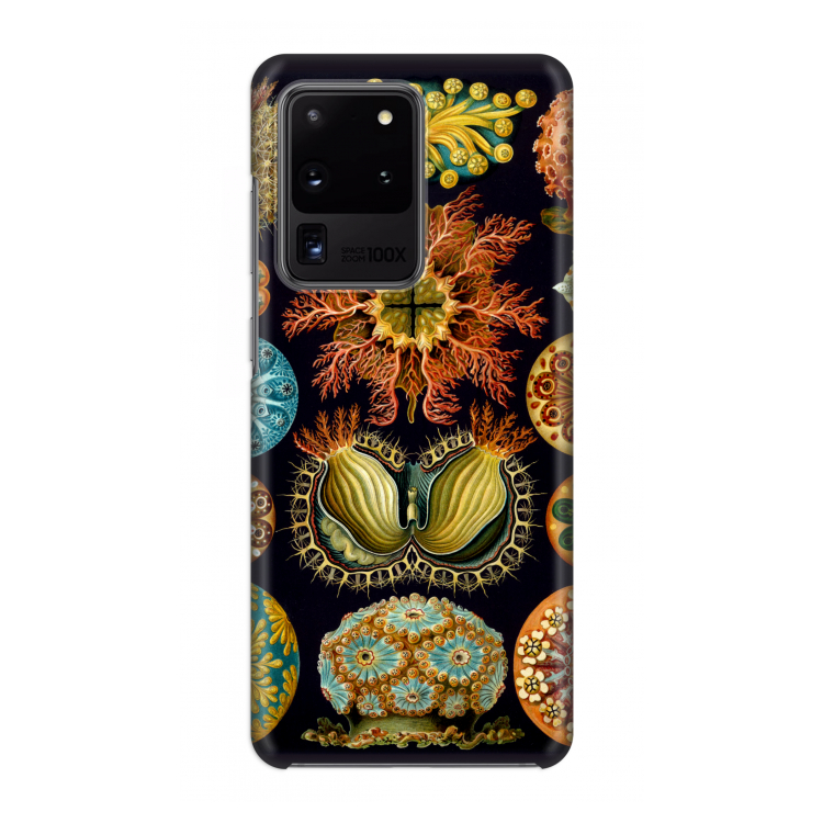 Haeckel Ascidiae: Volledig geprint Samsung Galaxy S20 Ultra Hoesje