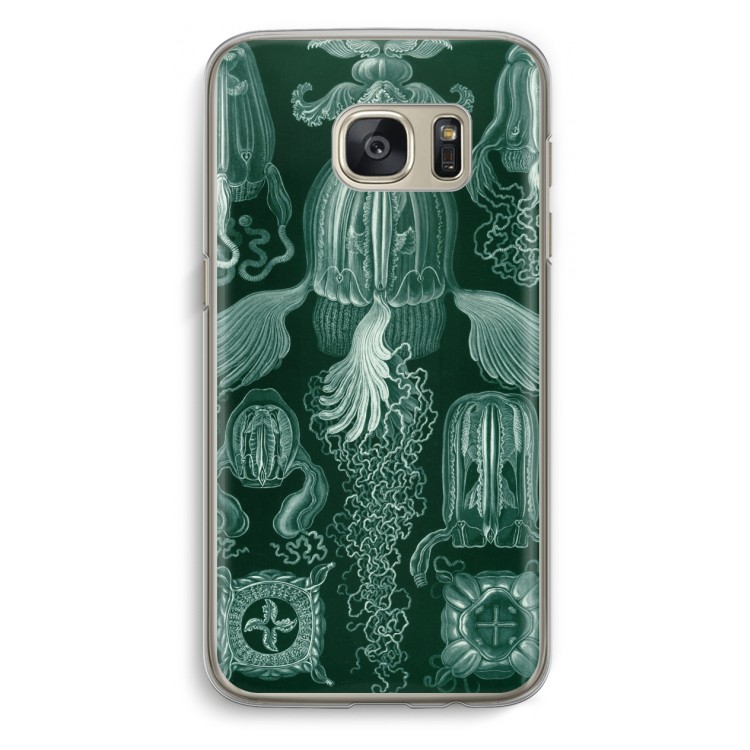 Haeckel Cubomedusae: Samsung Galaxy S7 Transparant Hoesje