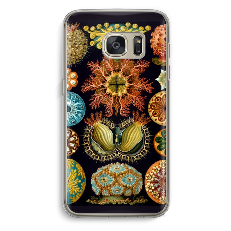 Haeckel Ascidiae: Samsung Galaxy S7 Transparant Hoesje
