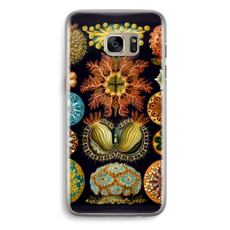 Haeckel Ascidiae: Samsung Galaxy S7 Edge Transparant Hoesje