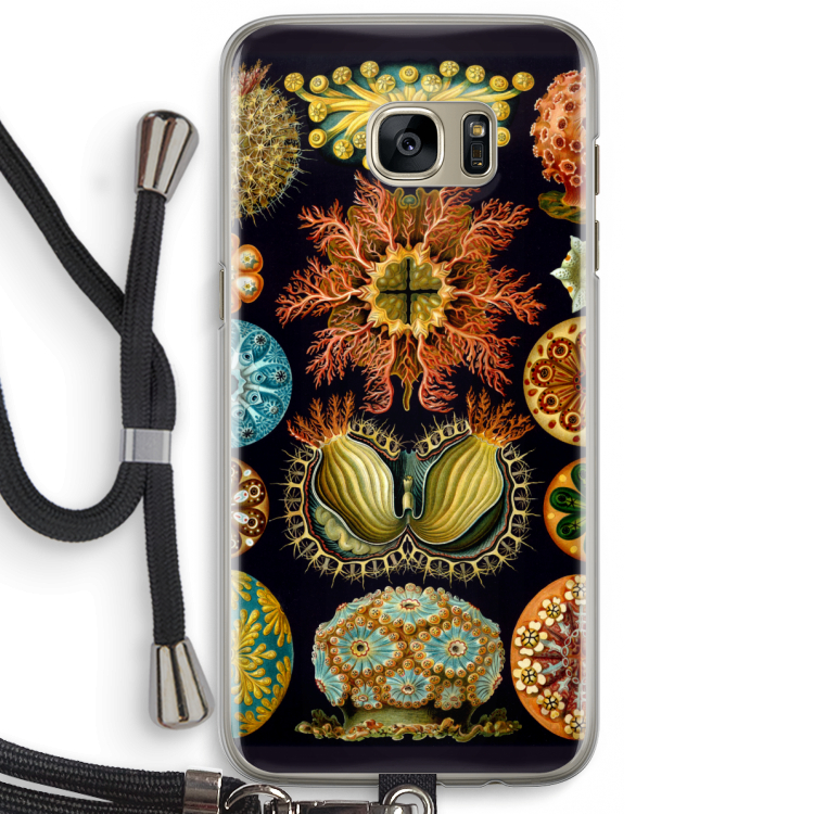 Haeckel Ascidiae: Samsung Galaxy S7 Edge Transparant Hoesje met koord