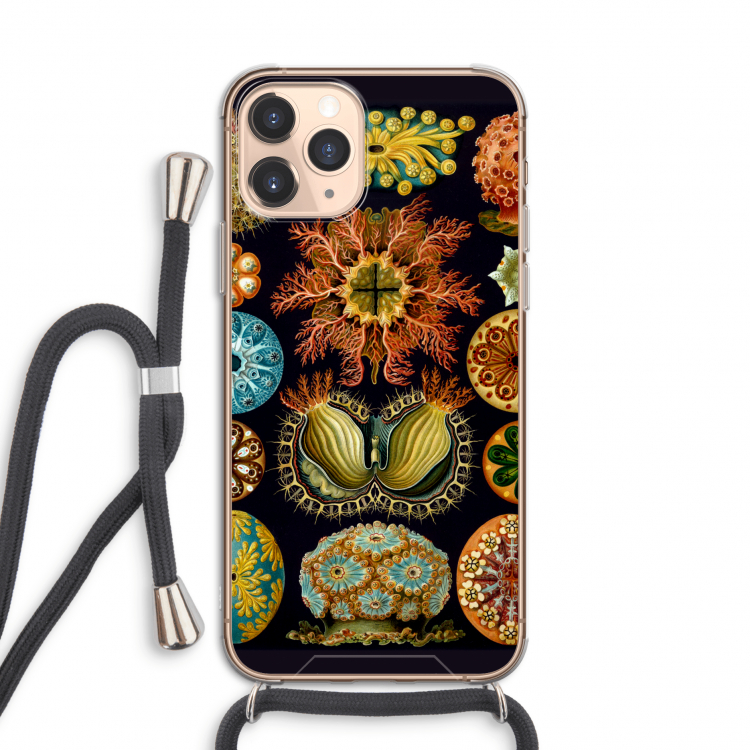 Haeckel Ascidiae: iPhone 11 Pro Transparant Hoesje met koord