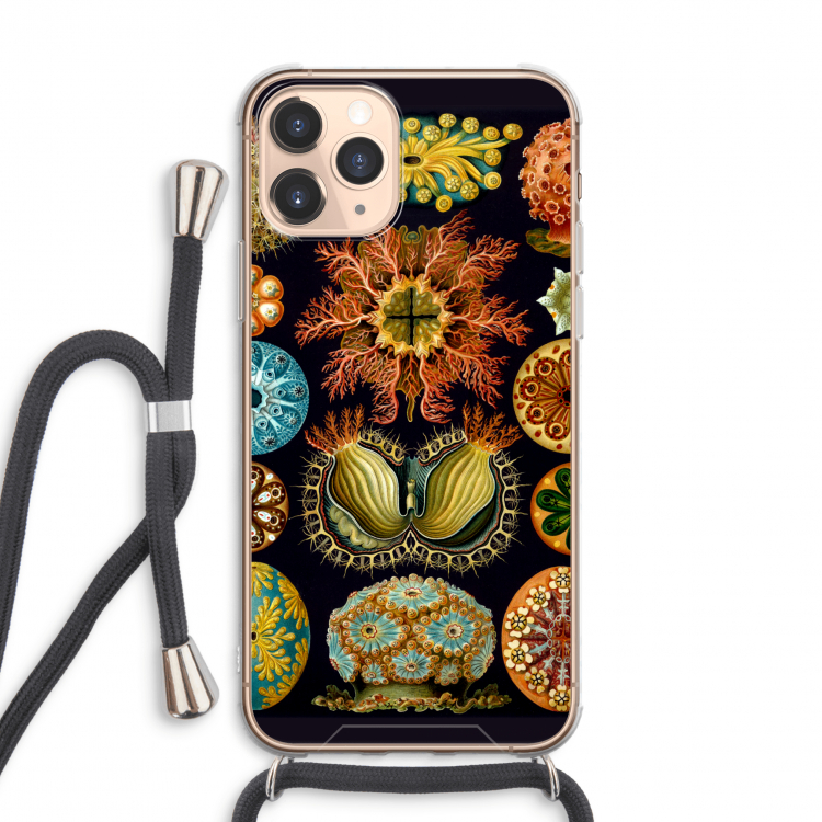 Haeckel Ascidiae: iPhone 11 Pro Max Transparant Hoesje met koord