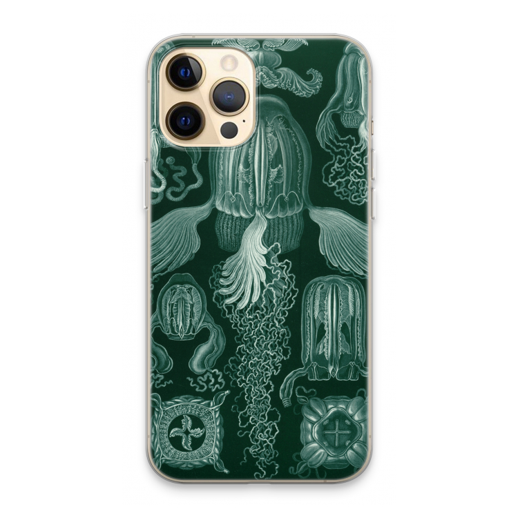 Haeckel Cubomedusae: iPhone 13 Pro Max Transparant Hoesje