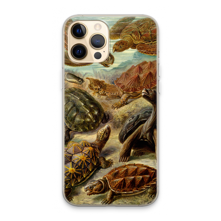 Haeckel Chelonia: iPhone 13 Pro Max Transparant Hoesje