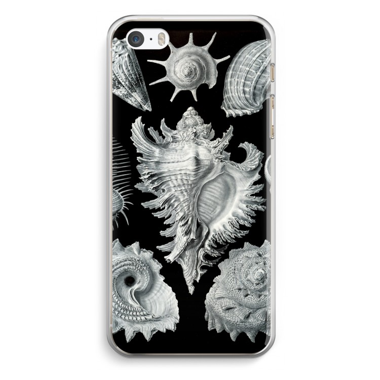 Haeckel Prosobranchia: iPhone 5 / 5S / SE Transparant Hoesje