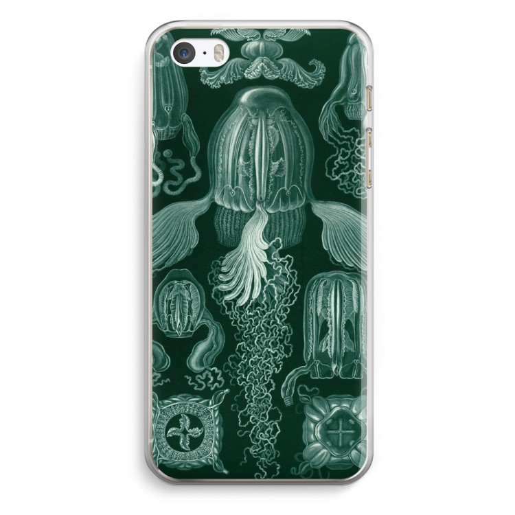Haeckel Cubomedusae: iPhone 5 / 5S / SE Transparant Hoesje