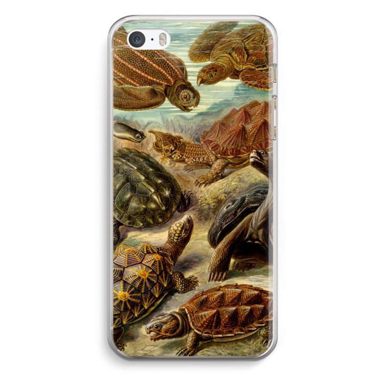 Haeckel Chelonia: iPhone 5 / 5S / SE Transparant Hoesje