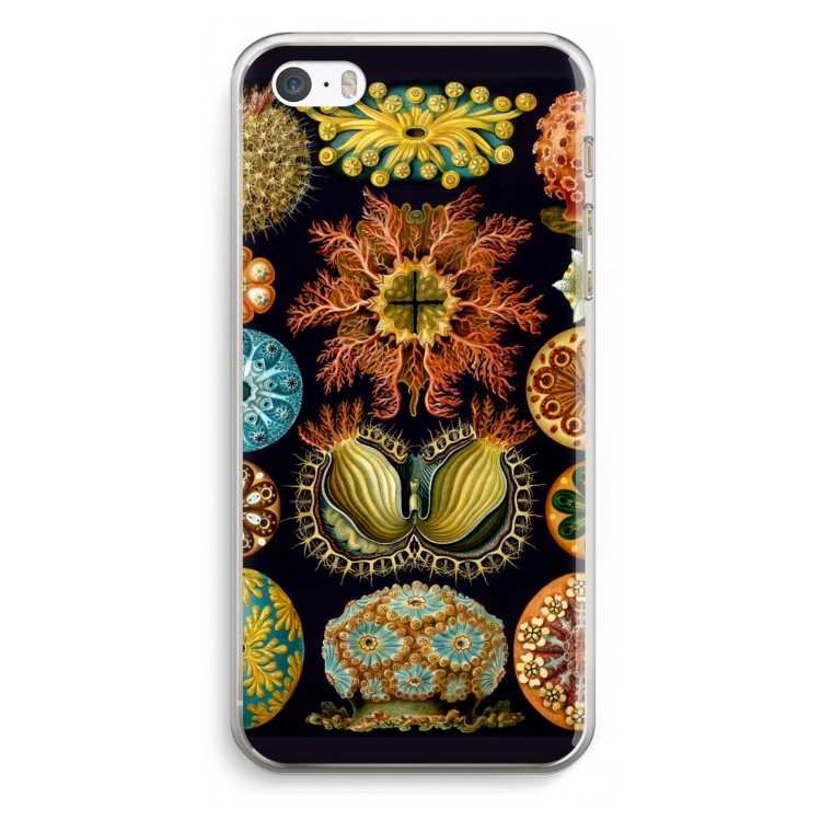 Haeckel Ascidiae: iPhone 5 / 5S / SE Transparant Hoesje