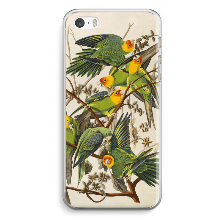 Carolinaparkiet: iPhone 5 / 5S / SE Transparant Hoesje