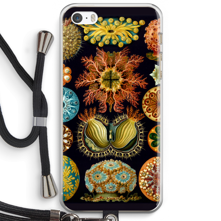 Haeckel Ascidiae: iPhone 5 / 5S / SE Transparant Hoesje met koord