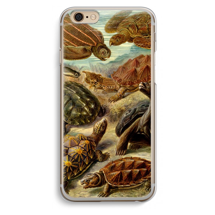 Haeckel Chelonia: iPhone 6 / 6S Transparant Hoesje