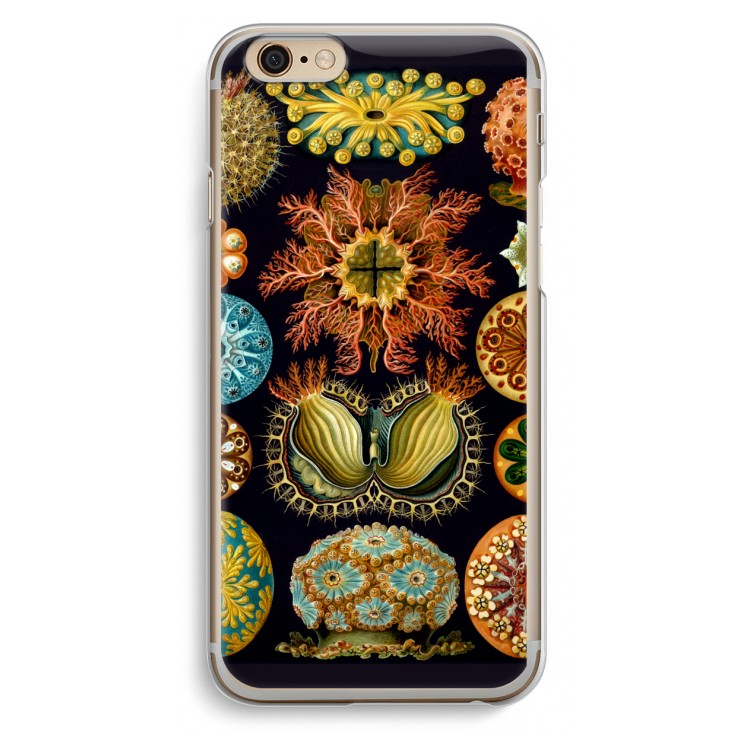 Haeckel Ascidiae: iPhone 6 / 6S Transparant Hoesje