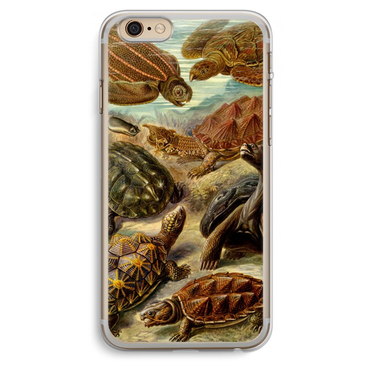 Haeckel Chelonia: iPhone 6 Plus / 6S Plus Transparant Hoesje