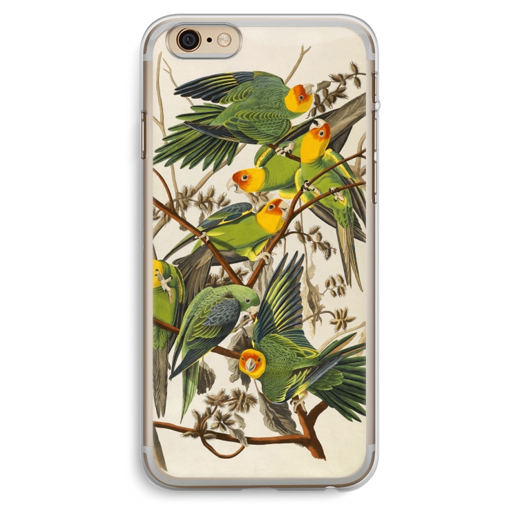 Carolinaparkiet: iPhone 6 Plus / 6S Plus Transparant Hoesje