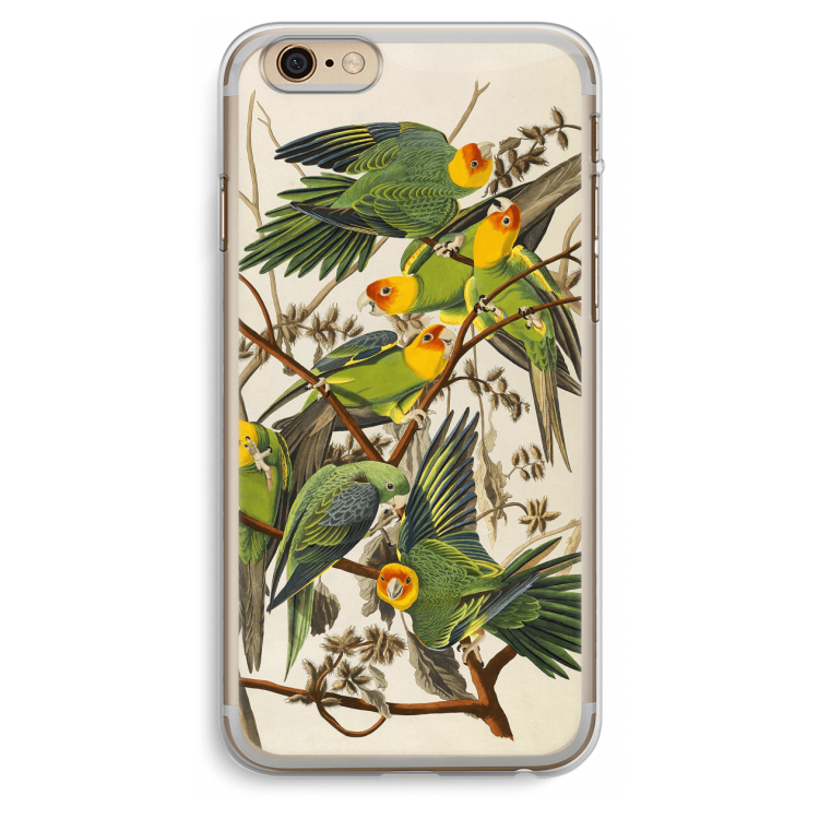 Carolinaparkiet: iPhone 6 Plus / 6S Plus Transparant Hoesje