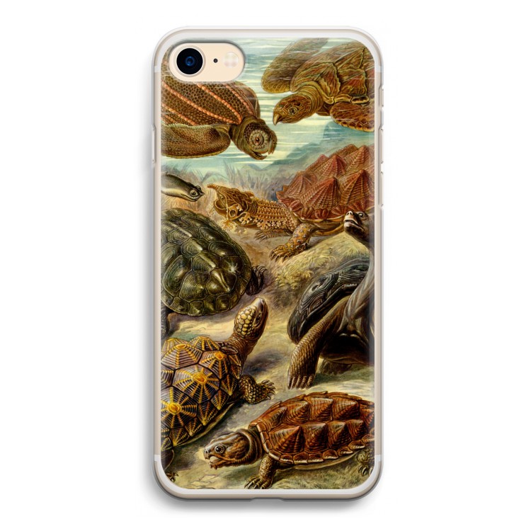 Haeckel Chelonia: iPhone 7 Transparant Hoesje