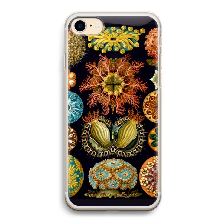 Haeckel Ascidiae: iPhone 7 Transparant Hoesje
