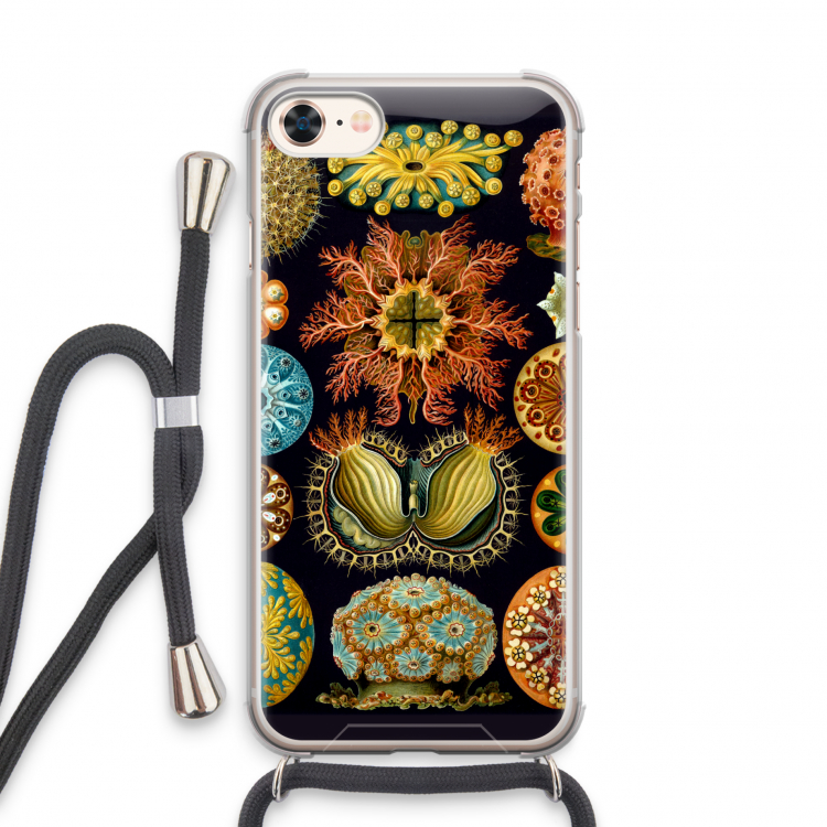 Haeckel Ascidiae: iPhone 7 Transparant Hoesje met koord
