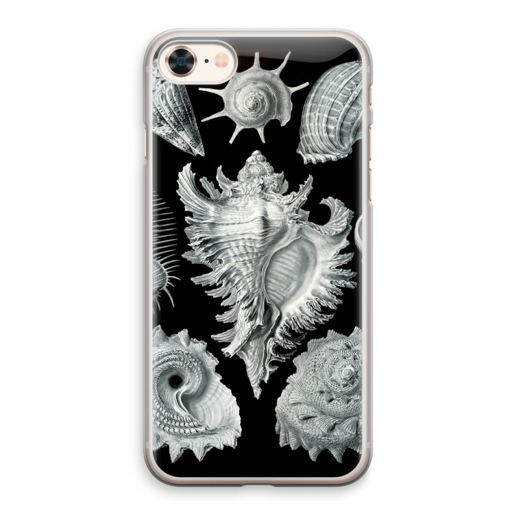 Haeckel Prosobranchia: iPhone 8 Transparant Hoesje