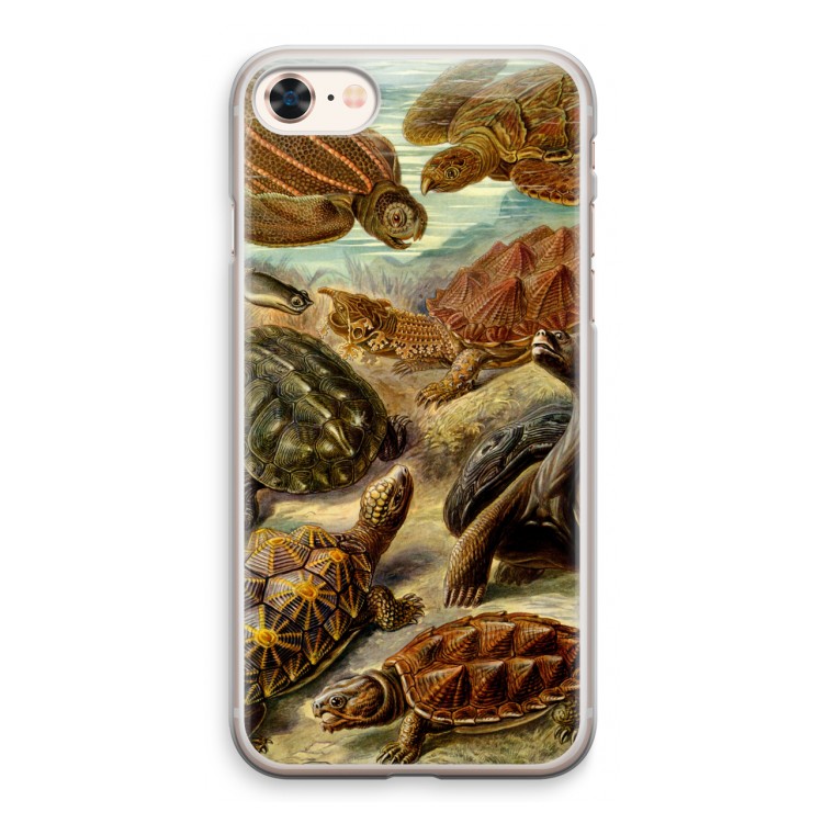 Haeckel Chelonia: iPhone 8 Transparant Hoesje