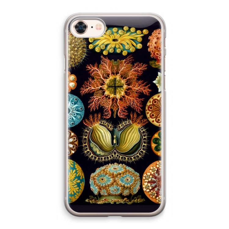 Haeckel Ascidiae: iPhone 8 Transparant Hoesje