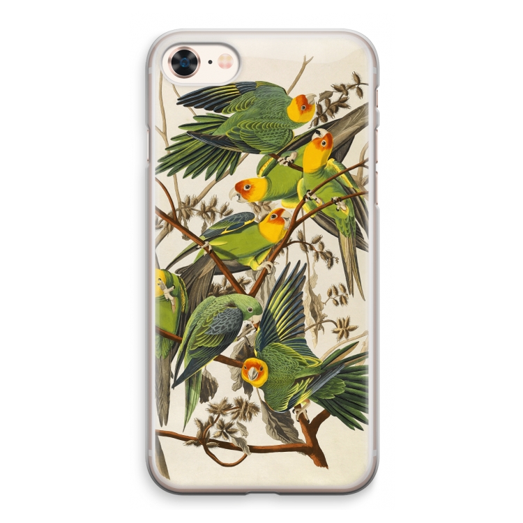 Carolinaparkiet: iPhone 8 Transparant Hoesje