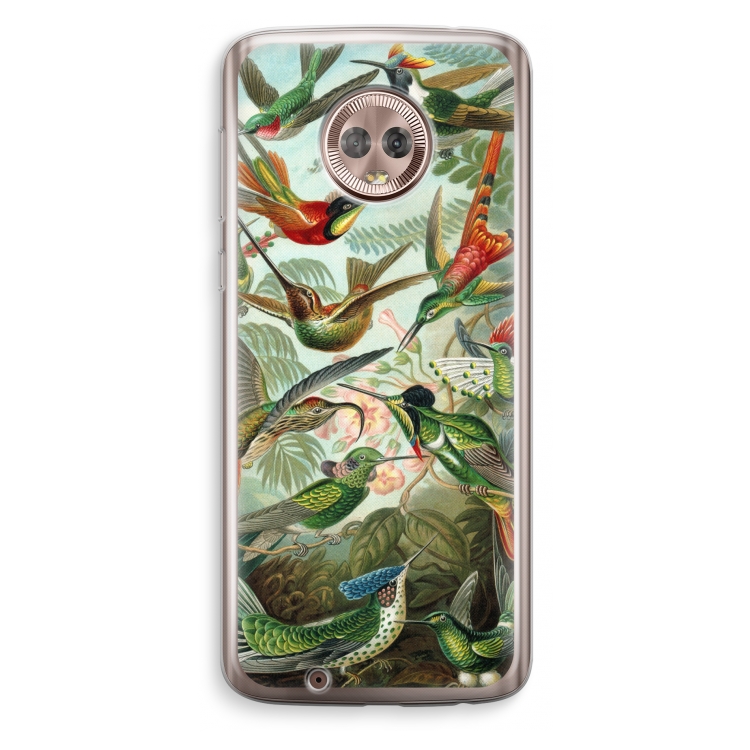 Haeckel Trochilidae: Motorola Moto G6 Transparant Hoesje
