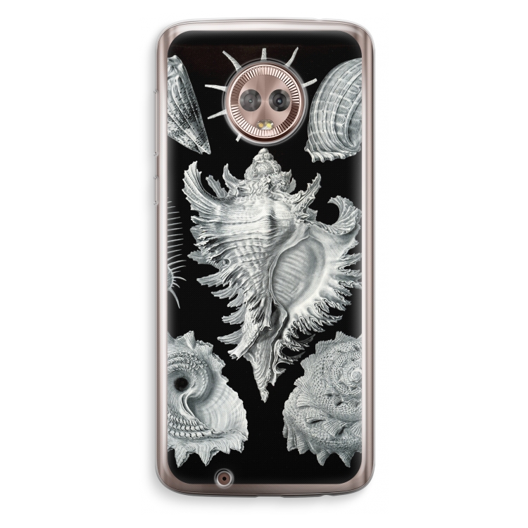 Haeckel Prosobranchia: Motorola Moto G6 Transparant Hoesje