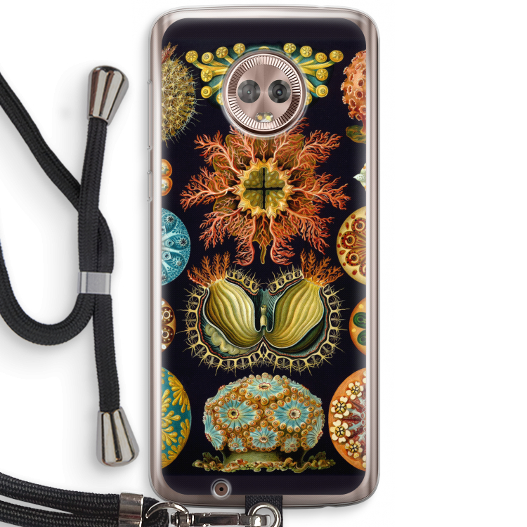 Haeckel Ascidiae: Motorola Moto G6 Transparant Hoesje met koord