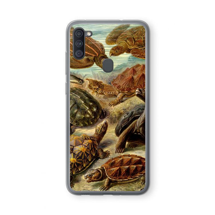 Haeckel Chelonia: Samsung Galaxy A11 Transparant Hoesje