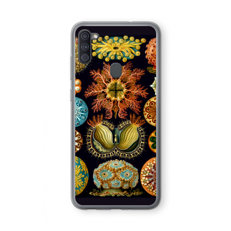 Haeckel Ascidiae: Samsung Galaxy A11 Transparant Hoesje