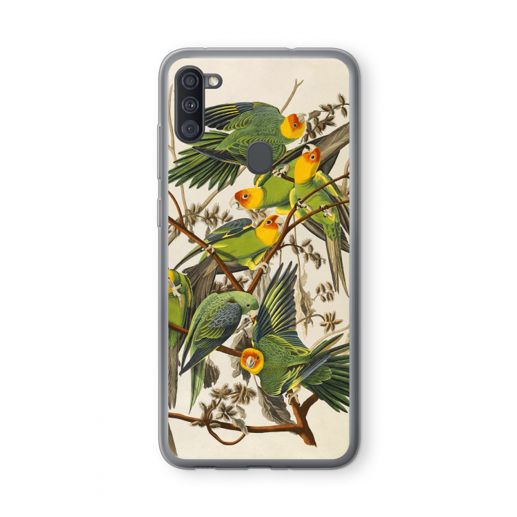 Carolinaparkiet: Samsung Galaxy A11 Transparant Hoesje