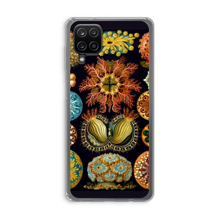 Haeckel Ascidiae: Samsung Galaxy A12 Transparant Hoesje