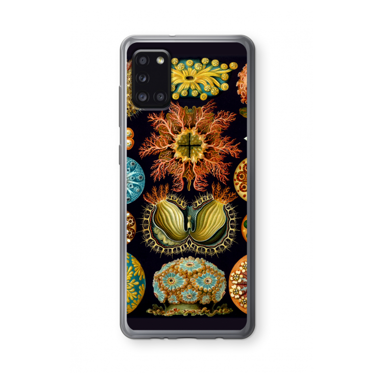 Haeckel Ascidiae: Samsung Galaxy A31 Transparant Hoesje