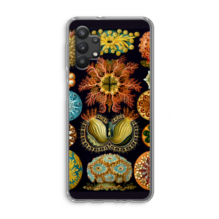 Haeckel Ascidiae: Samsung Galaxy A32 5G Transparant Hoesje