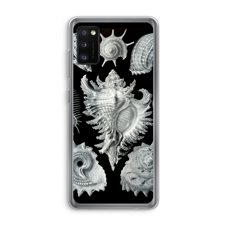 Haeckel Prosobranchia: Samsung Galaxy A41 Transparant Hoesje