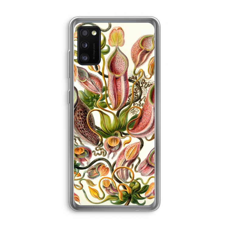 Haeckel Nepenthaceae: Samsung Galaxy A41 Transparant Hoesje
