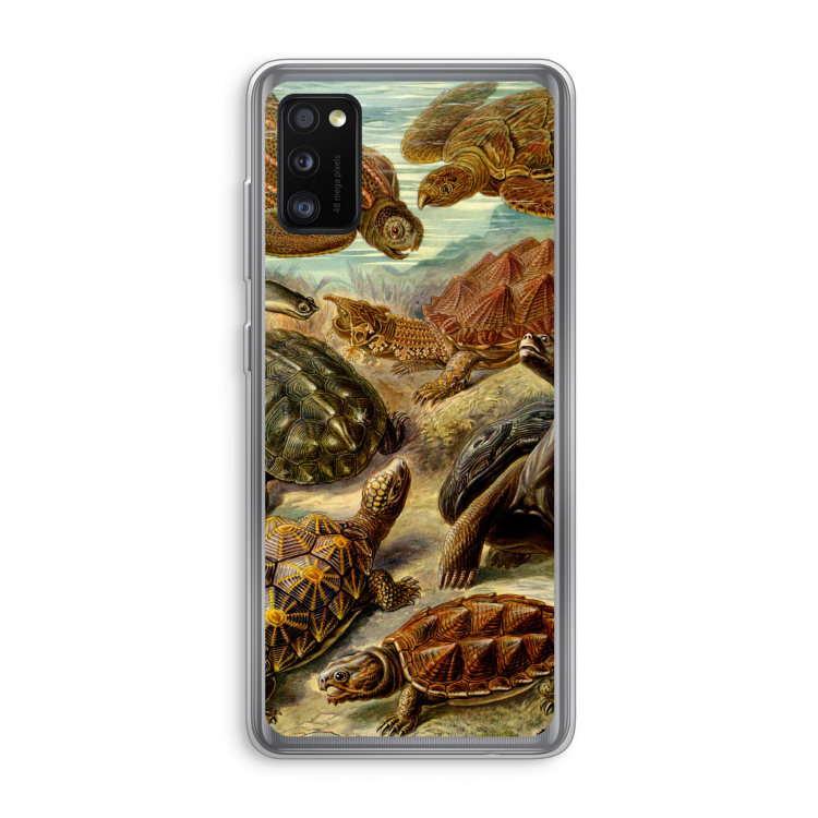 Haeckel Chelonia: Samsung Galaxy A41 Transparant Hoesje