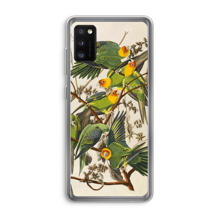 Carolinaparkiet: Samsung Galaxy A41 Transparant Hoesje