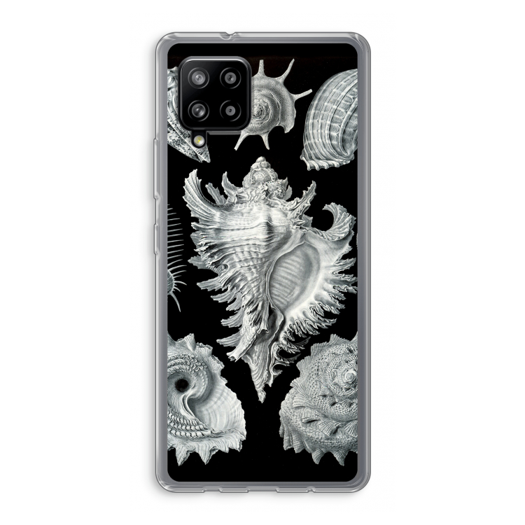 Haeckel Prosobranchia: Samsung Galaxy A42 5G Transparant Hoesje