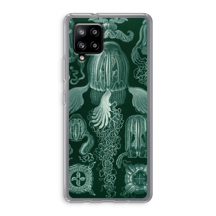 Haeckel Cubomedusae: Samsung Galaxy A42 5G Transparant Hoesje