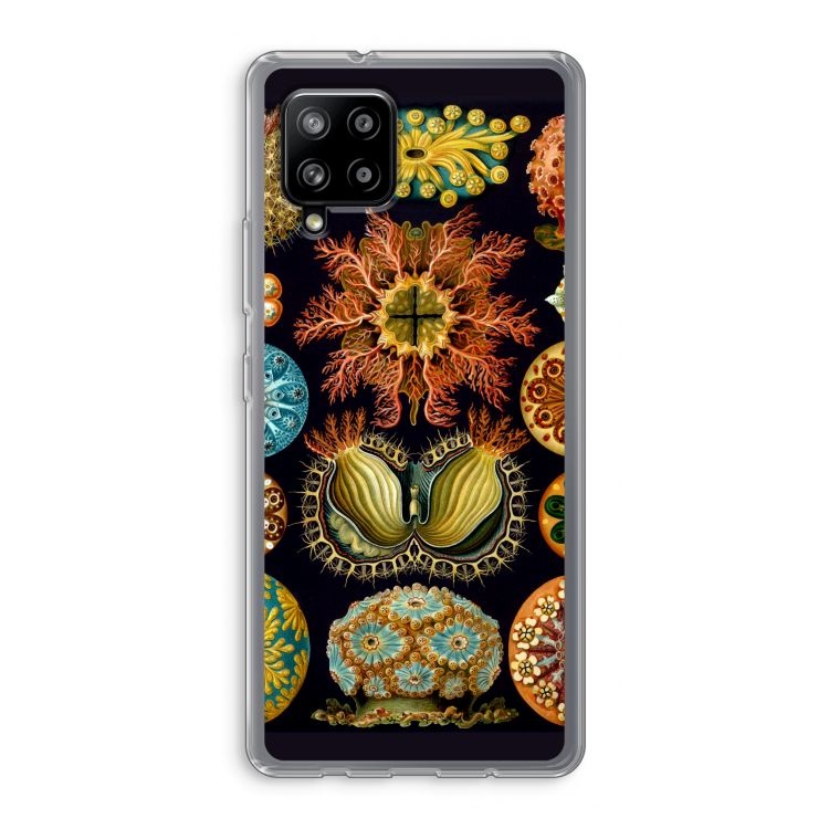 Haeckel Ascidiae: Samsung Galaxy A42 5G Transparant Hoesje