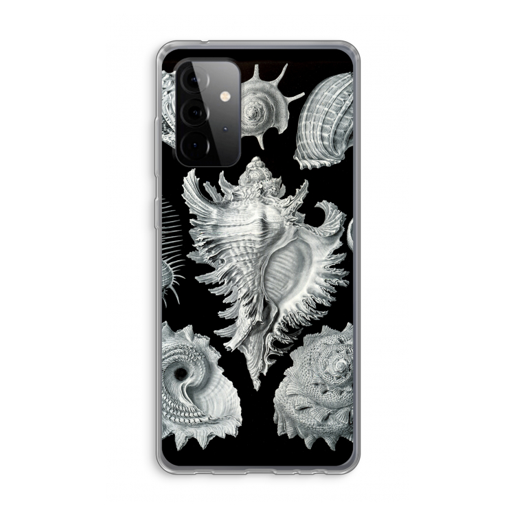 Haeckel Prosobranchia: Samsung Galaxy A72 Transparant Hoesje