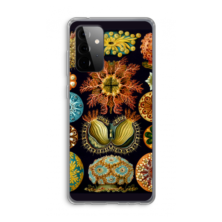 Haeckel Ascidiae: Samsung Galaxy A72 Transparant Hoesje