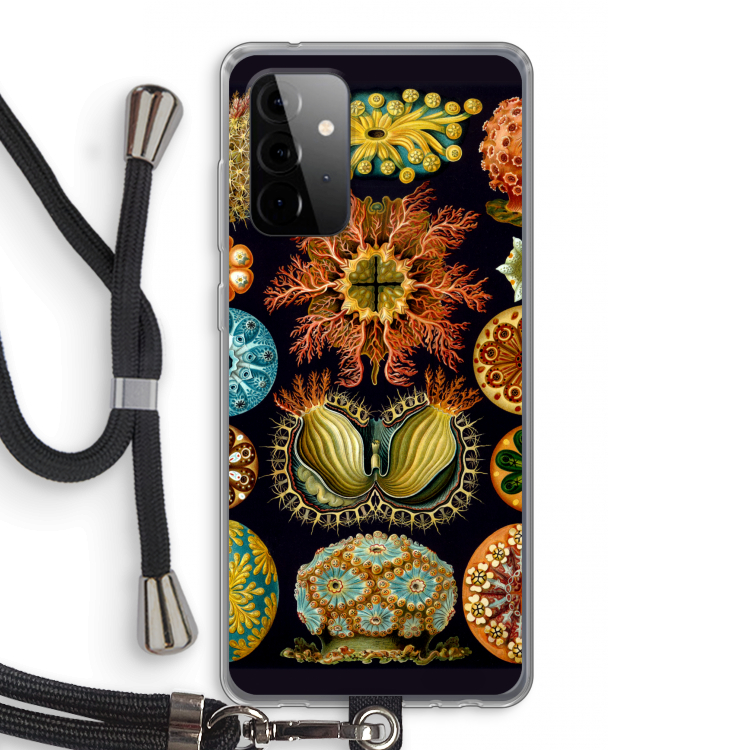 Haeckel Ascidiae: Samsung Galaxy A72 5G Transparant Hoesje met koord