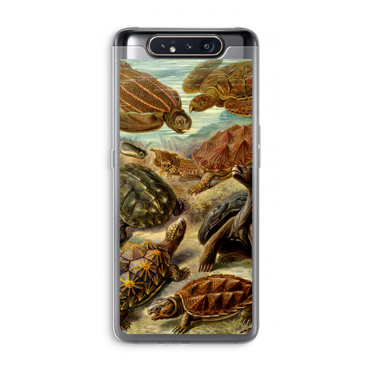 Haeckel Chelonia: Samsung Galaxy A80 Transparant Hoesje