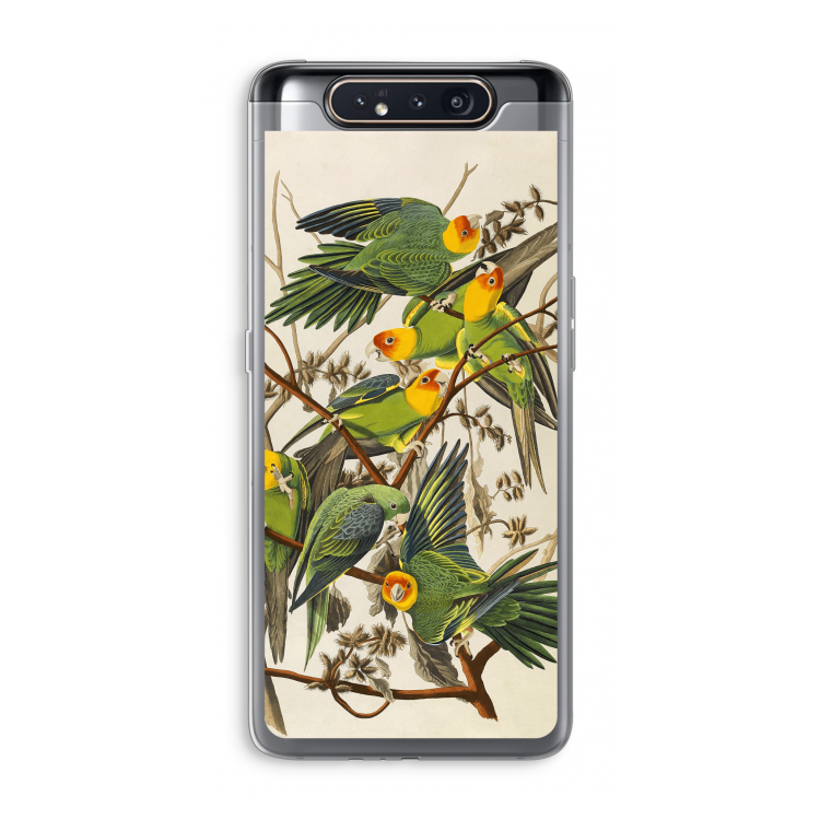 Carolinaparkiet: Samsung Galaxy A80 Transparant Hoesje