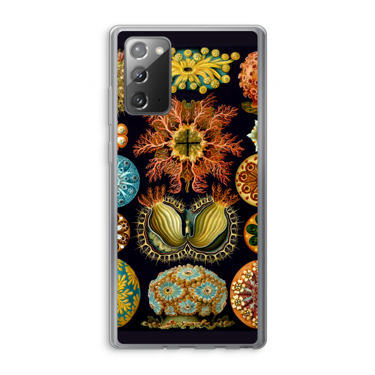 Haeckel Ascidiae: Samsung Galaxy Note 20 / Note 20 5G Transparant Hoesje